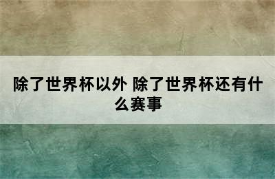 除了世界杯以外 除了世界杯还有什么赛事